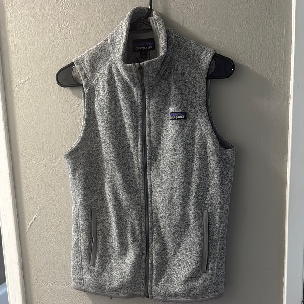 Patagonia Gray Fleece Vest